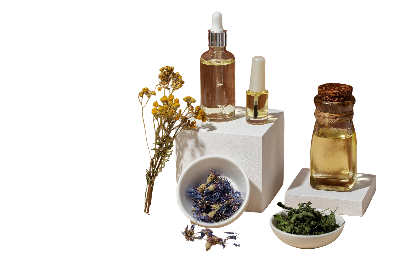 Korean Botanical Ingredients